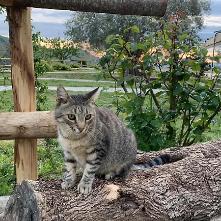 La Terrazza Su Farfa Estadia no rancho *