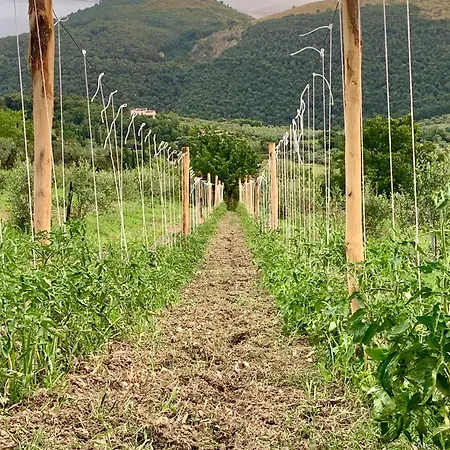 La Terrazza Su Farfa * Castelnuovo di Farfa