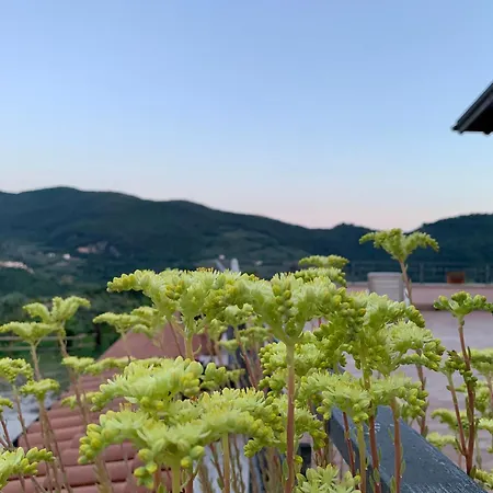 La Terrazza Su Farfa