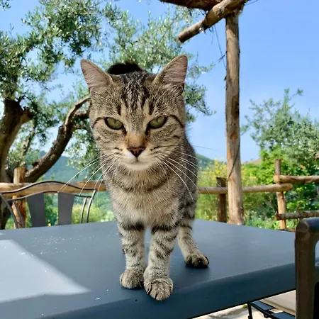 La Terrazza Su Farfa