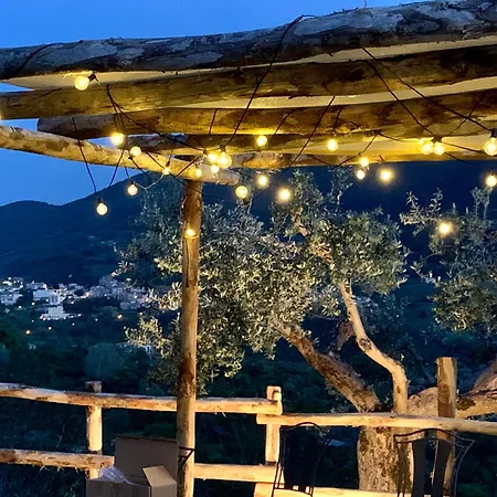 La Terrazza Su Farfa *