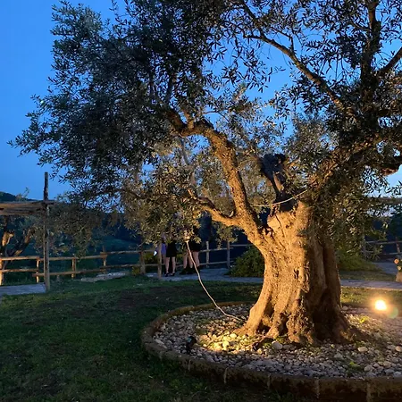 La Terrazza Su Farfa * Castelnuovo di Farfa