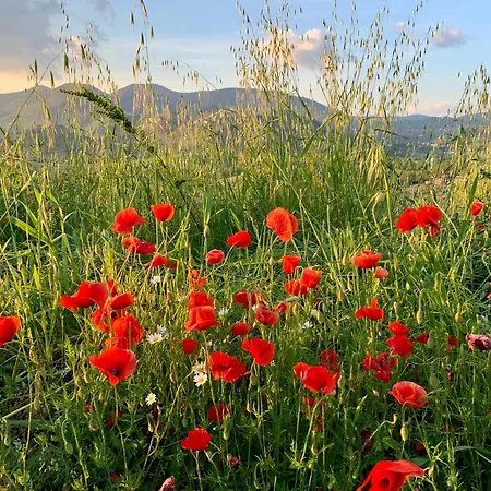 La Terrazza Su Farfa Séjour à la ferme Castelnuovo di Farfa