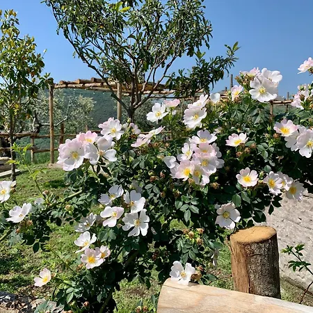 Lantgård La Terrazza Su Farfa Castelnuovo di Farfa