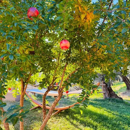 La Terrazza Su Farfa Gospodarstwo agroturystyczne