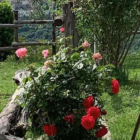 La Terrazza Su Farfa Estadia no rancho Castelnuovo di Farfa