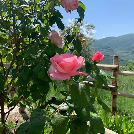 La Terrazza Su Farfa Castelnuovo di Farfa