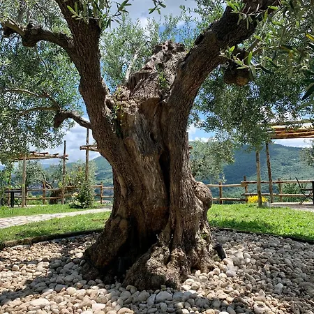 La Terrazza Su Farfa Estadia no rancho