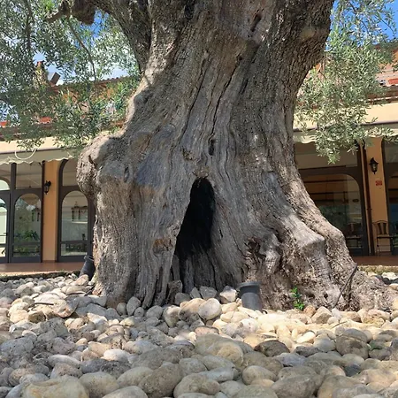 La Terrazza Su Farfa *