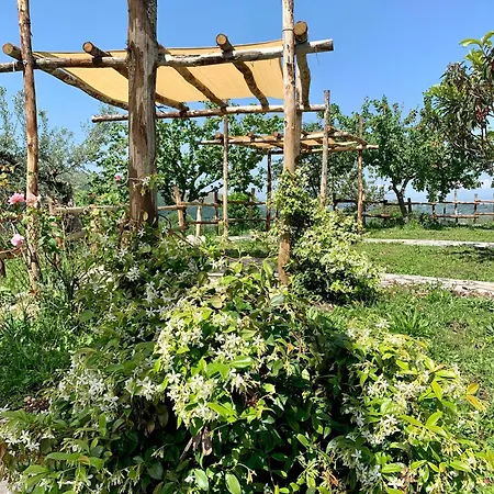 La Terrazza Su Farfa * Castelnuovo di Farfa