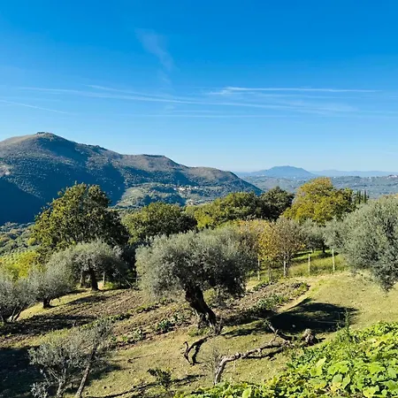 Gospodarstwo agroturystyczne La Terrazza Su Farfa *