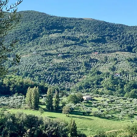 La Terrazza Su Farfa