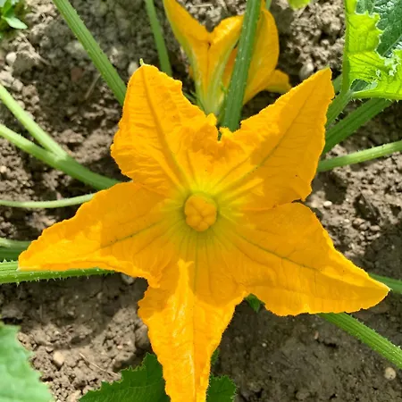 La Terrazza Su Farfa * Castelnuovo di Farfa