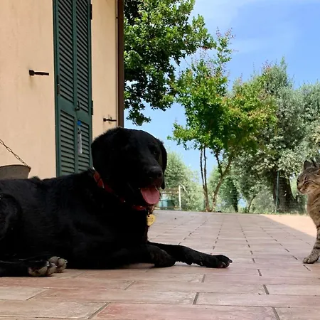 La Terrazza Su Farfa Castelnuovo di Farfa